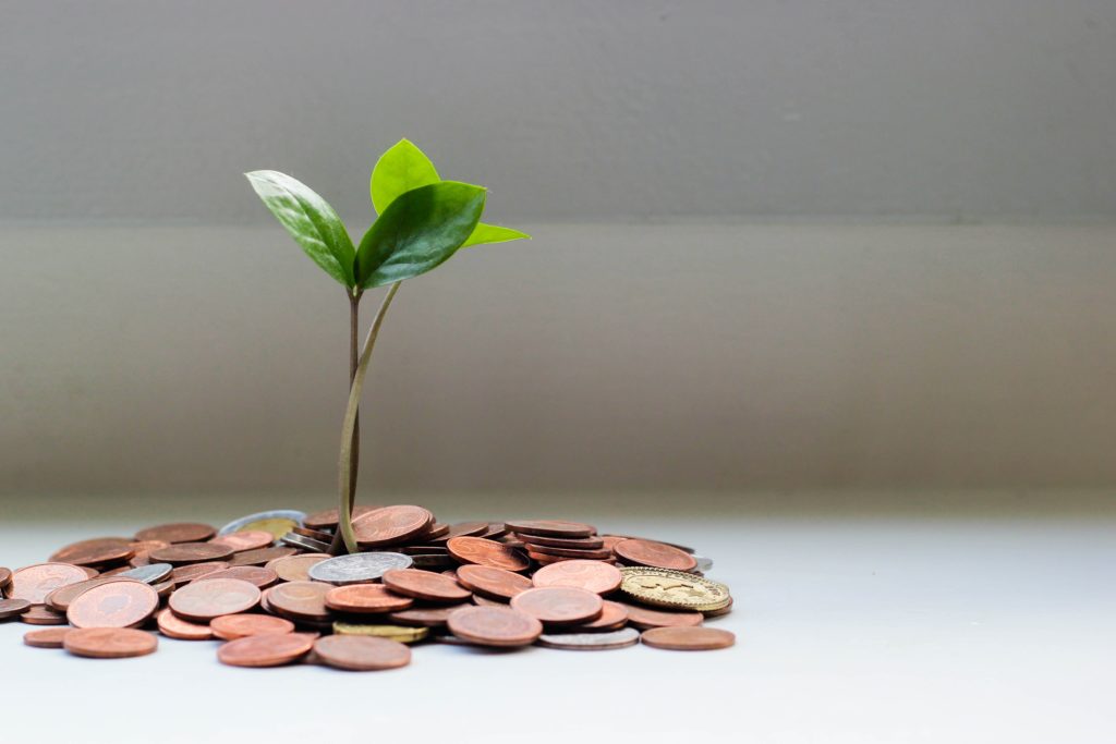 Plant growing from coins